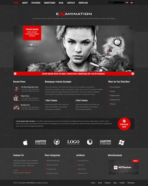 Examination Classic Corporate Portfolio Wp Theme