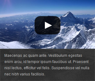 Caseta de căutare