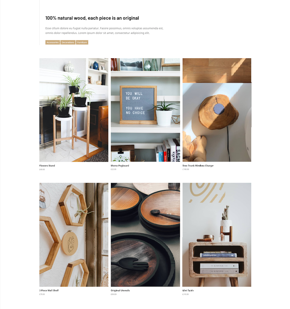 Magazin online Craftsman