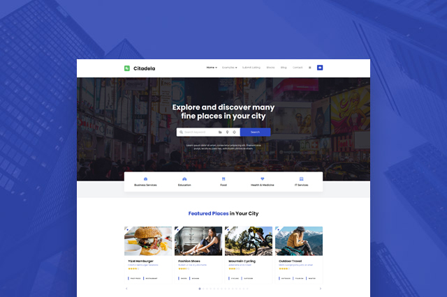 Téma WordPress DirectoryPRO