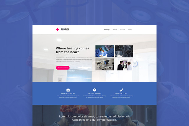 Доктор WordPress тема