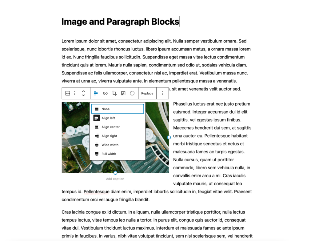 Balut teks di sekeliling Imej menggunakan Gutenberg Image and Paragraph Blocks