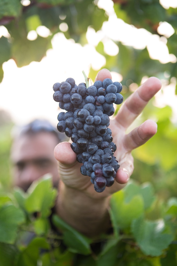 Vinsmakingslister Ideer for markedsføring av turisme